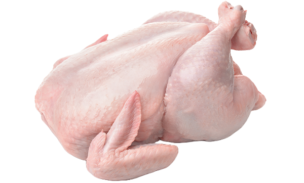 Poultry meal as primary protein