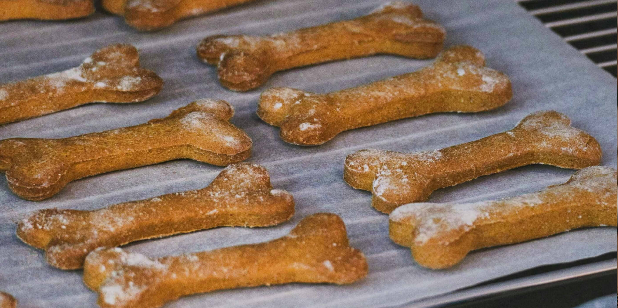 Grain free dog treats South Africa
