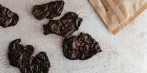 Hypoallergenic dog treats South Africa
