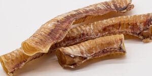 Single ingredient dog treats