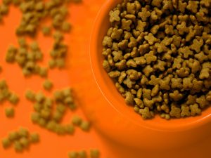 How to read a dog food label without getting overwhelmed